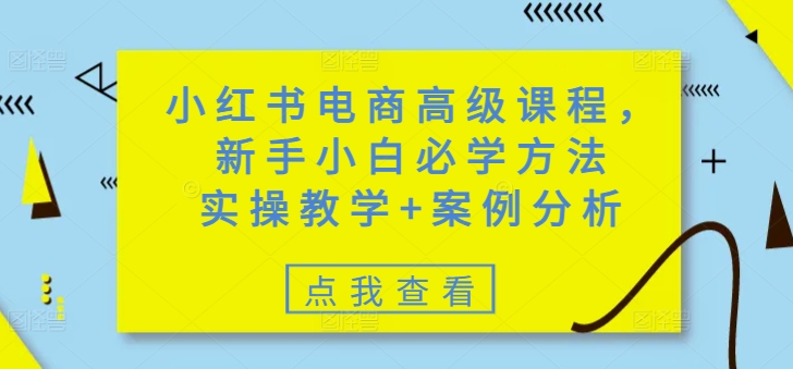 小红书电商高级课程，新手小白必学方法，实操教学+案例分析——生财有道创业项目网