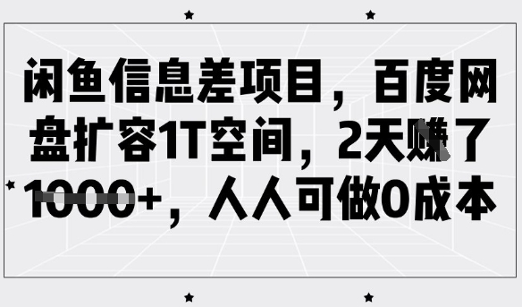 闲鱼信息差项目，百度网盘扩容1T空间，2天收益1k+，人人可做0成本——生财有道创业项目网