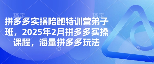 拼多多实操陪跑特训营弟子班，2025年2月拼多多实操课程，海量拼多多玩法——生财有道创业项目网