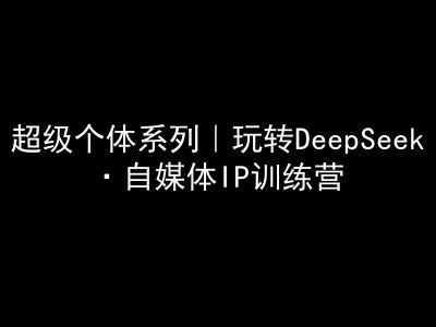 超级个体系列，玩转DeepSeek·自媒体IP训练营，deepseek教程——生财有道创业项目网