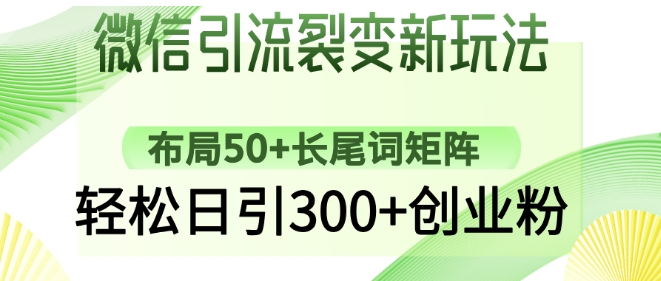 微信引流裂变新玩法：布局50+长尾词矩阵，轻松日引300+创业粉——生财有道创业项目网