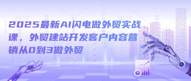 2025最新AI闪电做外贸实战课，外贸建站开发客户内容营销从0到3做外贸——生财有道创业项目网