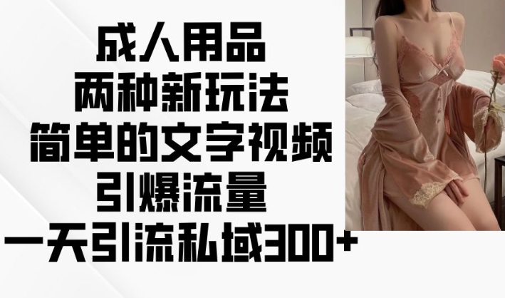 图片[1]-成人用品两种新玩法，简单的文字视频引爆流量，一天引流私域300+——生财有道创业项目网-生财有道