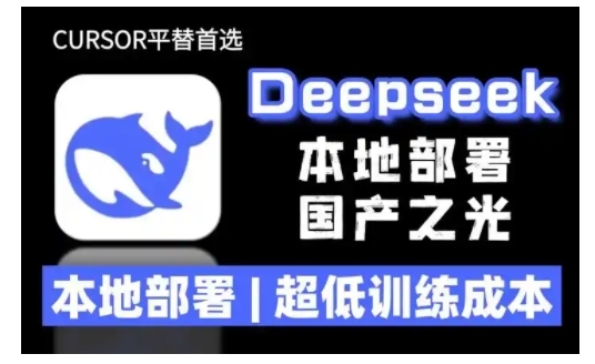 2025年deepseek R1 大型模型本地安装部署(文件+教程)本地部署，超低训练成本——生财有道创业项目网