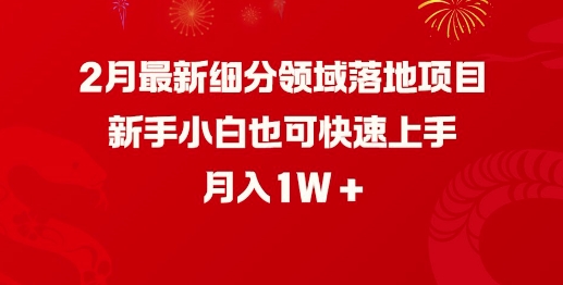2月最新细分领域落地项目，新手小白也可快速上手，月入1W——生财有道创业项目网