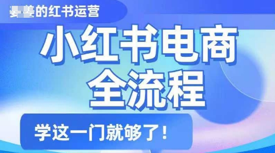 小红书电商全流程，精简易懂，从入门到精通，学这一门就够了——生财有道创业项目网