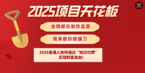 2025项目天花板普通人如何通过知识付费，实现财F自由【揭秘】——生财有道创业项目网