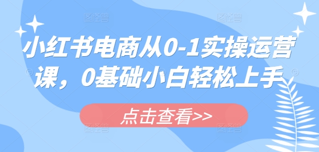 小红书电商从0-1实操运营课，0基础小白轻松上手——生财有道创业项目网