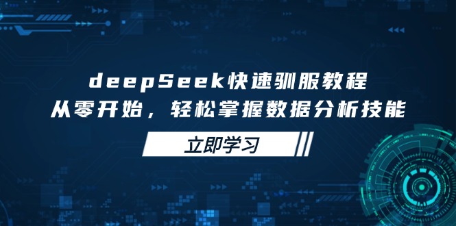 （14536期）deepSeek快速驯服教程，从零开始，轻松掌握数据分析技能_生财有道创业项目网