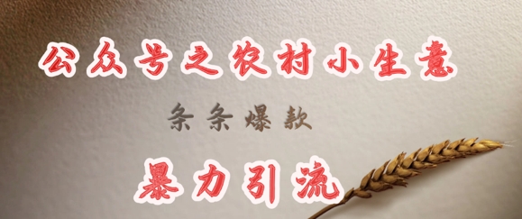 deepseek写农村小项目，条条爆款，暴力引流——生财有道创业项目网