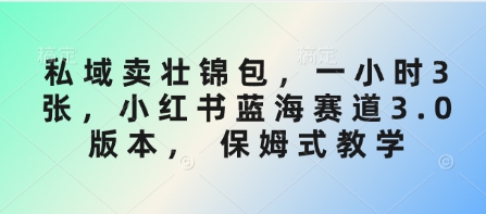 私域卖壮锦包，一小时3张，小红书蓝海赛道3.0版本， 保姆式教学——生财有道创业项目网