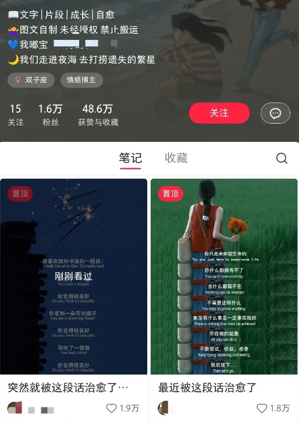 图片[2]-小红书治愈文案图文笔记，零门槛，一分钟制作轻松制作爆款作品月入万元_生财有道创业网-生财有道