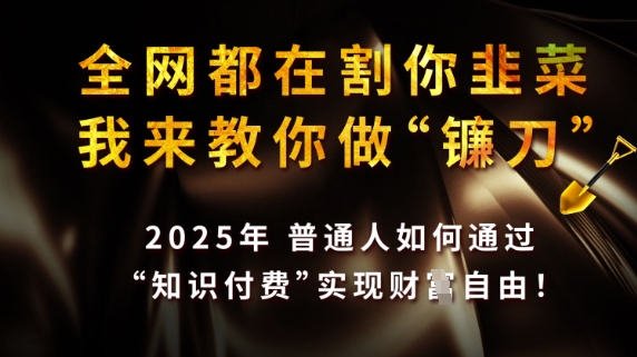 全网都在割你韭菜，我来教你做镰刀，2025普通人如何通过知识付费，实现财F自由【揭秘】——生财有道创业项目网