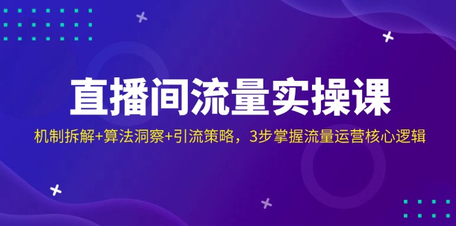 （14122期）直播间流量实操课：机制拆解+算法洞察+引流策略，3步掌握流量运营核心逻辑_生财有道创业项目网