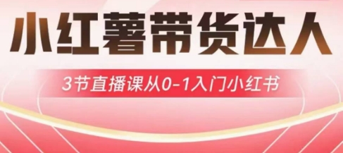 小红薯达人带货启航计划，3节直播课从0-1入门小红书——生财有道创业项目网