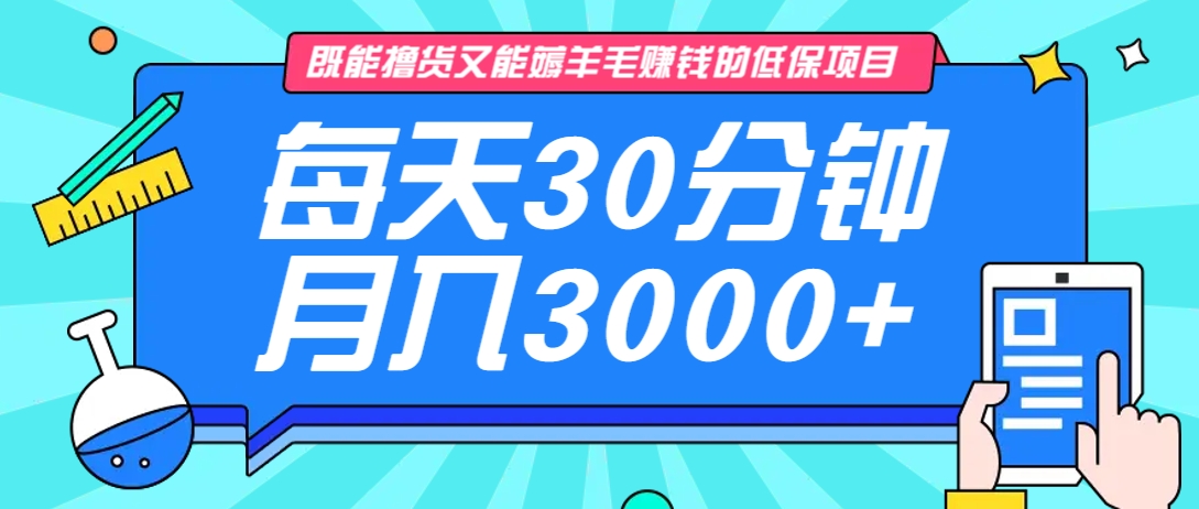 图片[1]-既能撸货又能赚钱的长期低保项目，每天30分钟，多号百分百稳定月入3000+！_生财有道创业网-生财有道
