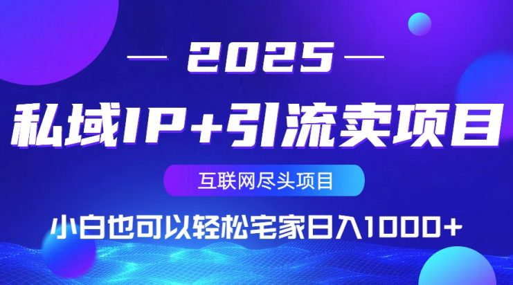 （14151期）私域IP+引流卖项目，小白也可以做到轻松宅家日入1000+_生财有道创业项目网
