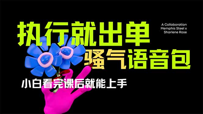 （14170期）爆火全网的开车导航骚气语音包,只要执行就出单，小白看完课程就能实操…_生财有道创业项目网
