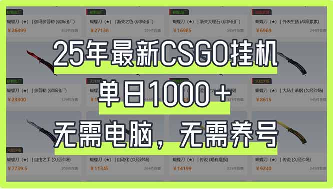 （14178期）25年最新CSGO挂机系统，单日1000+，无需电脑，无需养号，0基础可上手_生财有道创业项目网