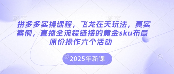 拼多多实操课程，飞龙在天玩法，真实案例，直播全流程链接的黄金sku布局原价操作六个活动——生财有道创业项目网