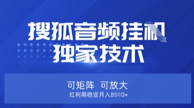 【搜狐音频挂G】独家技术，可矩阵可放大，红利期稳定月入8k【揭秘】——生财有道创业项目网