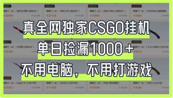 真全网独家CSGO挂机，单日捡漏1000+，不用电脑，不用养号_生财有道创业网