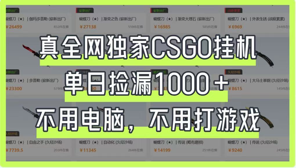 图片[1]-真全网独家CSGO挂机，单日捡漏1000+，不用电脑，不用养号_生财有道创业网-生财有道