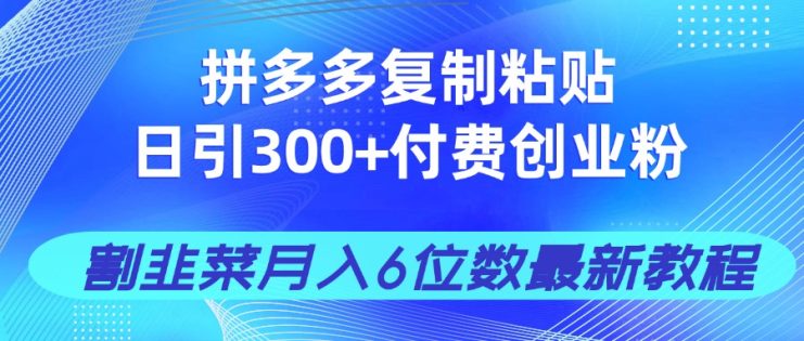 （14232期）拼多多复制粘贴日引300+付费创业粉，割韭菜月入6位数最新教程！_生财有道创业项目网