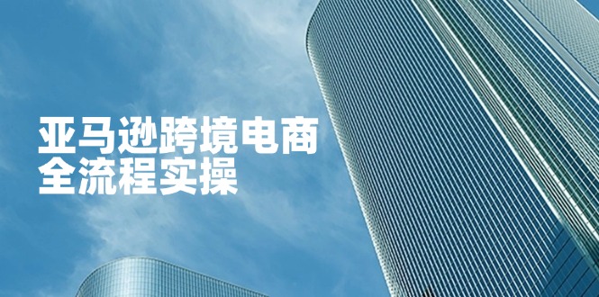 （14252期）亚马逊跨境电商全流程实操，教你从零开始，掌握店铺运营与广告技巧_生财有道创业项目网