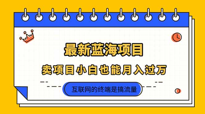 （14289期）2025年最新蓝海项目，卖项目小白也能月入过万_生财有道创业项目网
