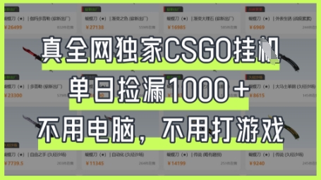 真全网独家CSGO挂G，单日捡漏1k+【揭秘】——生财有道创业项目网