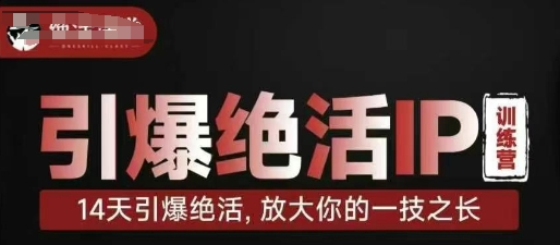 引爆绝活IP训练营，14天引爆绝活，放大你的一技之长——生财有道创业项目网