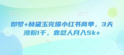 即梦+林黛玉完爆小红书商单，3天涨粉1千，靠怼人月入5k+——生财有道创业项目网