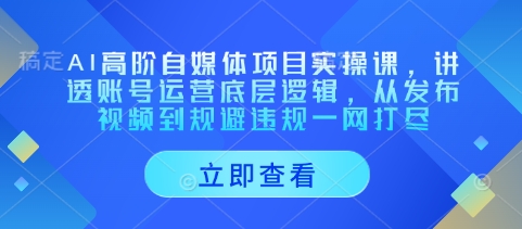 AI高阶自媒体项目实操课，讲透账号运营底层逻辑，从发布视频到规避违规一网打尽——生财有道创业项目网