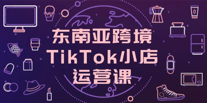 （14390期）东南亚跨境TikTok小店运营课，掌握店铺设置与流量转化核心技巧_生财有道创业项目网