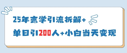 25年国学引流拆解+单日引200人+小白当天就能变现——生财有道创业项目网