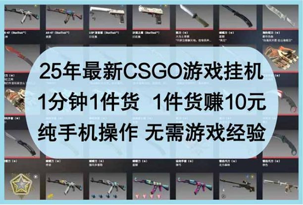 （14439期）25年最新CSGO游戏挂机，1分钟1件货，1件货赚10元 纯手机操作 无需游戏经验_生财有道创业项目网
