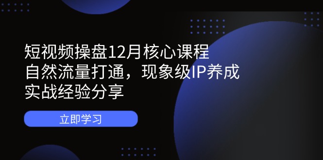 （14447期）短视频操盘12月核心课程：自然流量打通，现象级IP养成，实战经验分享_生财有道创业项目网