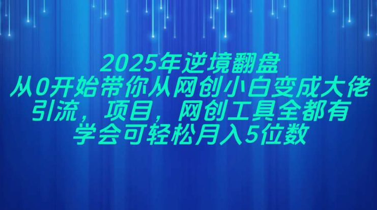 （14473期）2025年逆境翻盘，从0开始带你从网创小白变成大佬，引流，项目，网创工…_生财有道创业项目网