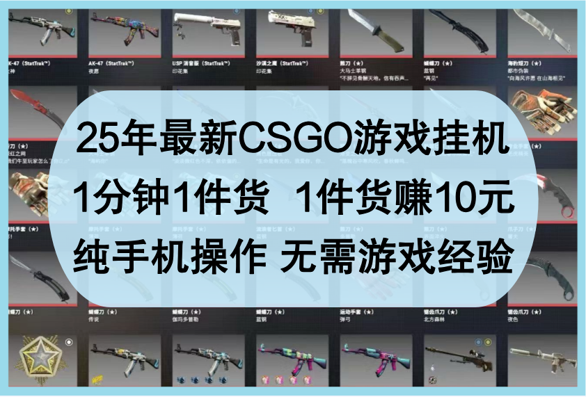图片[1]-25年最新CSGO游戏挂机，1分钟1件货，1件货赚10元，纯手机操作，无需游戏经验_生财有道创业网-生财有道