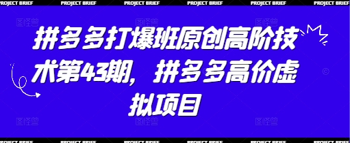 拼多多打爆班原创高阶技术第43期，拼多多高价虚拟项目——生财有道创业项目网