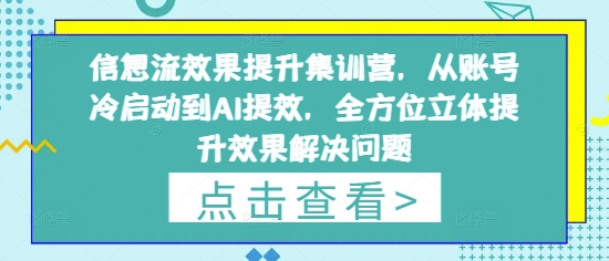 信息流效果提升集训营，从账号冷启动到AI提效，全方位立体提升效果解决问题——生财有道创业项目网