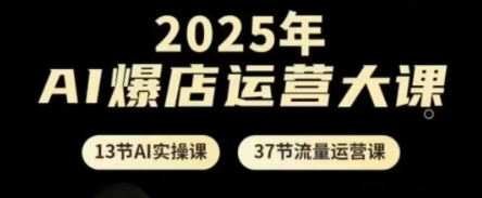 2025年AI爆店运营大课，13节AI实操课+37节流量运营课——生财有道创业项目网