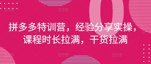 拼多多特训营，经验分享实操，课程时长拉满，干货拉满(更新25年4月)——生财有道创业项目网