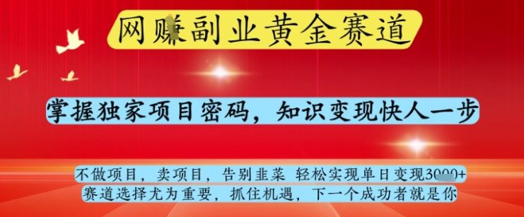 网创副业黄全赛道，掌握独家项目密码，知识变现快人一步，告别韭菜轻松实现单日变现1k+【揭秘】——生财有道创业项目网