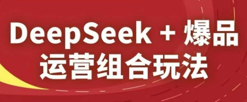 DeepSeek+爆品运营组合玩法，2025淘系精品课——生财有道创业项目网