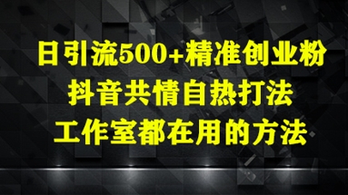日引流500+精准创业粉，抖音共情自热打法，工作室都在用的方法——生财有道创业项目网