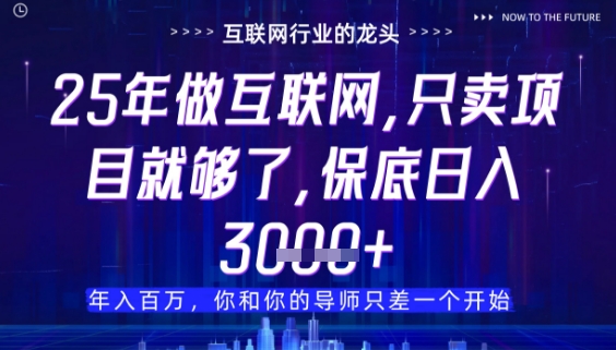 什么！25年你还在找项目做？风口早就变了，卖项目才是稳挣不赔【揭秘】——生财有道创业项目网