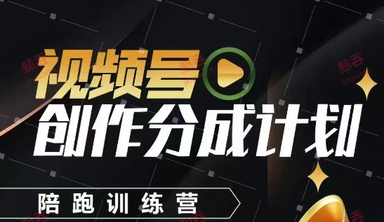 视频号创作分成计划陪跑训练营，手把手教会你如何制作视频，细水长流型项目——生财有道创业项目网