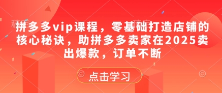 拼多多vip课程，零基础打造店铺的核心秘诀，助拼多多卖家在2025卖出爆款，订单不断——生财有道创业项目网